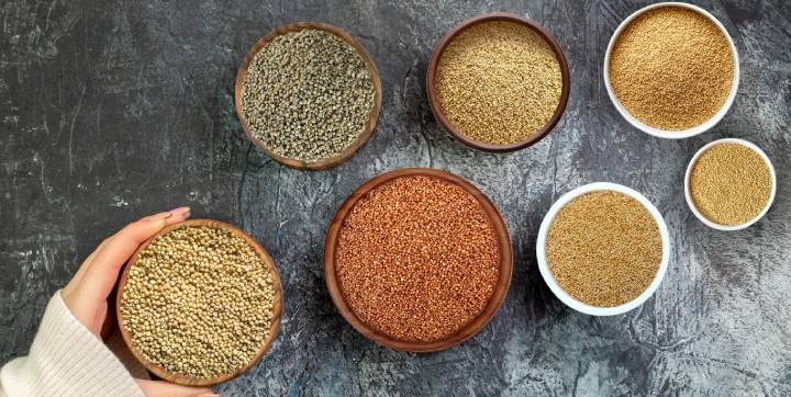 Benefits of Barnyard Millet Barnyard Millet Use fitrofy